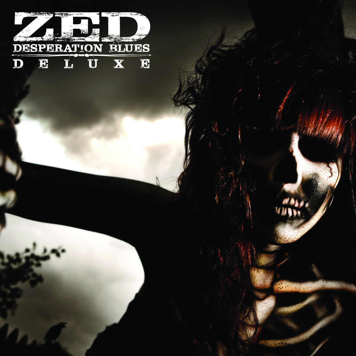 Zed - Desperation Blues (LP)